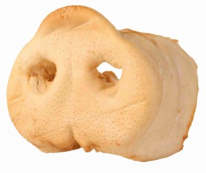 Trixie Pig Nose